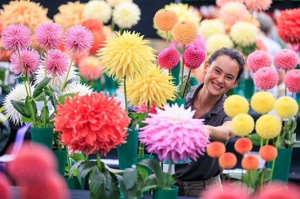 Find out more about the RHS Garden Wisley Show in September 2024