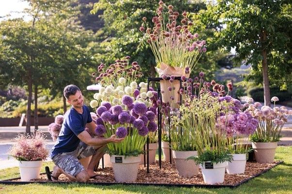 Enjoy a day out at the RHS Garden Wisley Flower Show this September 