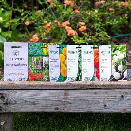 For garden lovers, there's the The Flourishy Gardener's Seed Subscription Box