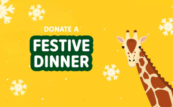 Please donate a Festive Dinner to the animals at ZSL! 