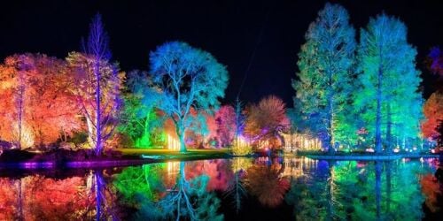 It's time for RHS Glow!   Find out more about Glow 2024 at the RHS Gardens