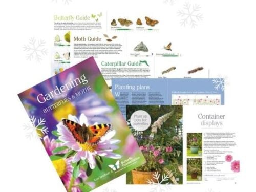 Give the nature lover in your life a gift membership to Butterfly Conservation