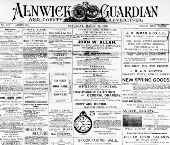 How about a subscription to historic newspapers online?