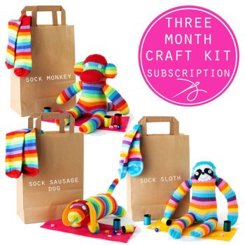 What about a Sock Creature Craft Kit Subscription?