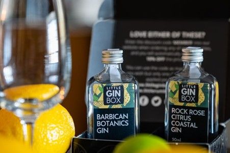 There's a Six Months Gin Subscription with Little Gin Box