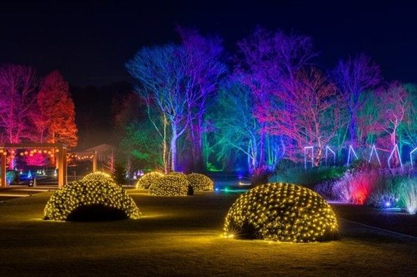 RHS Glow is back at the end of the year!