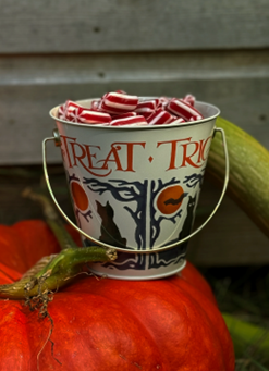How about this Halloween Trick Or Treat Tin Bucket? How about this Halloween Trick Or Treat Tin Bucket?