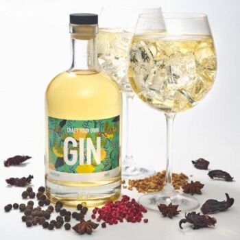 Make Your Own Gin, Makes Three Different Blends! Make Your Own Gin, Makes Three Different Blends!
