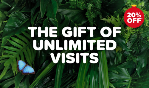 There's 20% off Gift Memberships until 5th January 2026!