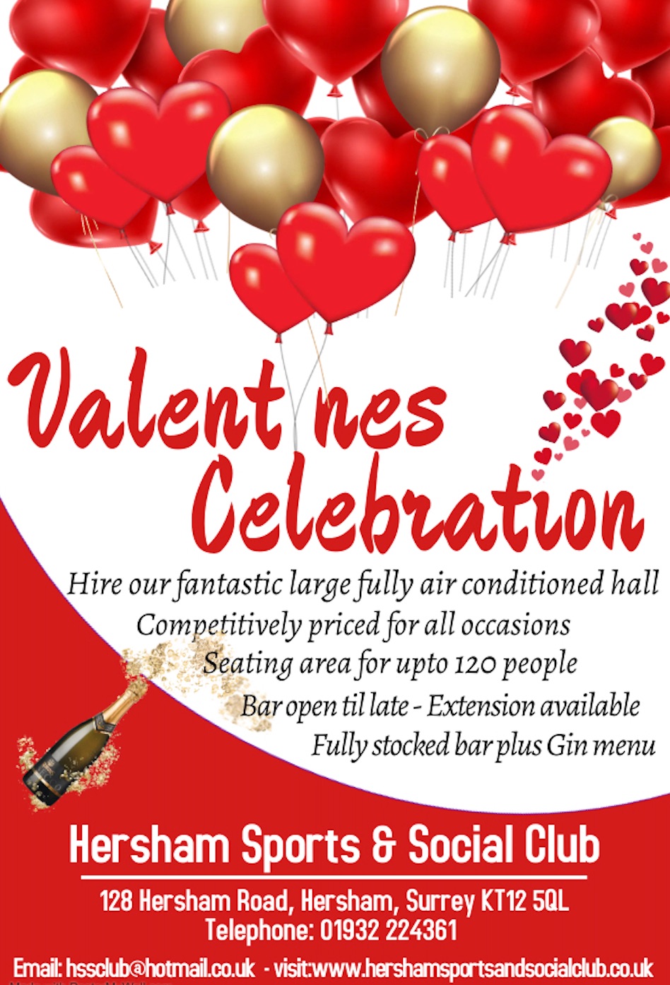 Valentine celebration Poster 