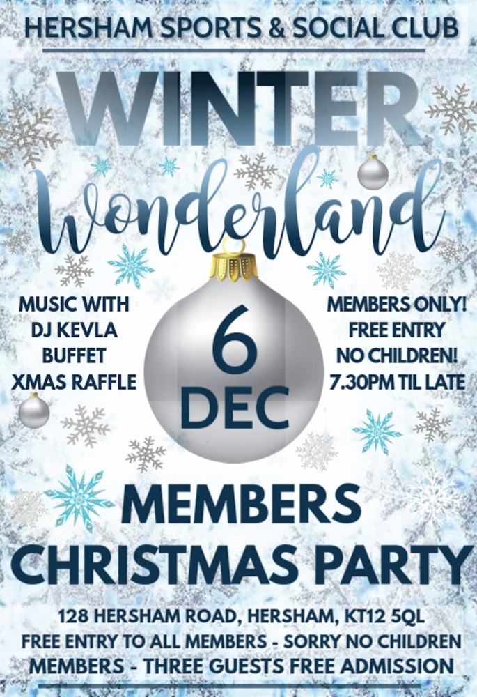 Xmas Party Poster