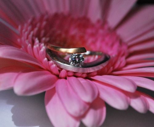 Rivoir designer engagement ring, rose and white