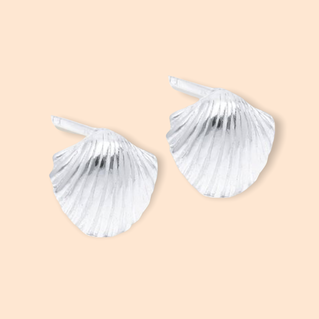 Silver Sea Shell Earrings