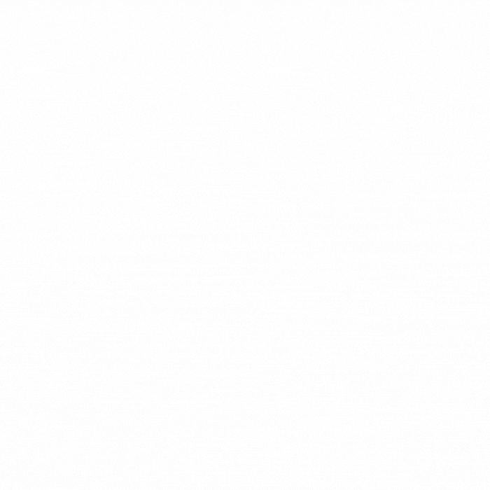 Purple - Black Spinel Gemstone Textured Silver With Gold Ring