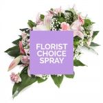 Florist choice Oasis spray