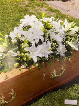 All White Coffin Spray