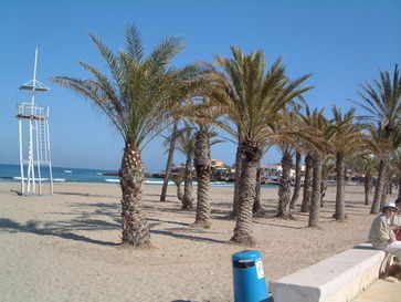 Javea Palms on the Beach