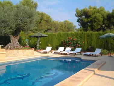El Dorado Pool, Olive Tree, sunloungers