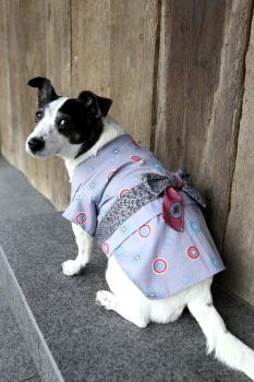 Dog Kimono Susumu