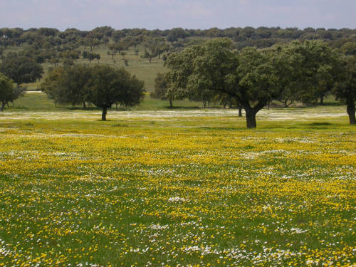 Extremadura Scenery