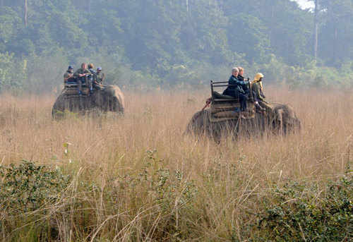 Elephant Ride at Chitwan