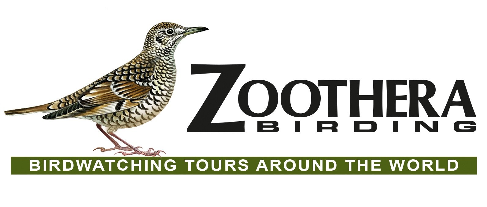 bird tour companies uk
