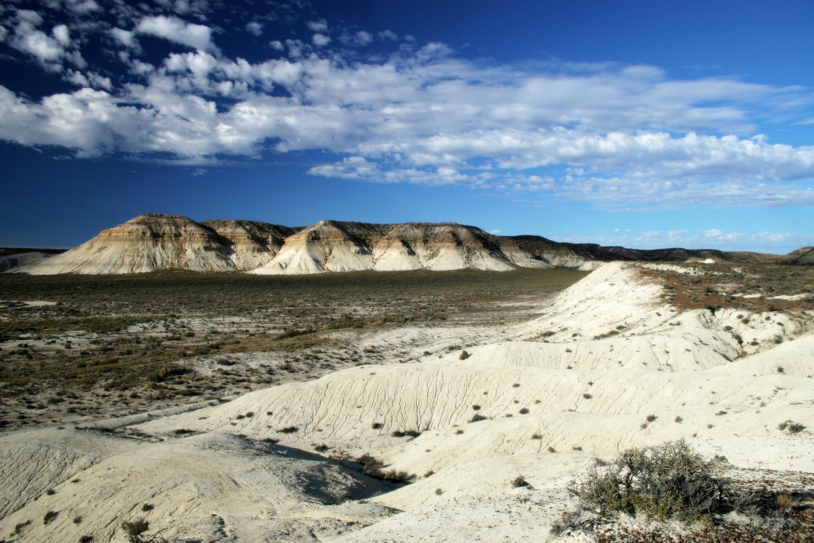 patagonian steppe habitat