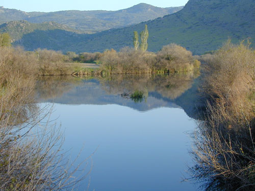 Inland Lake