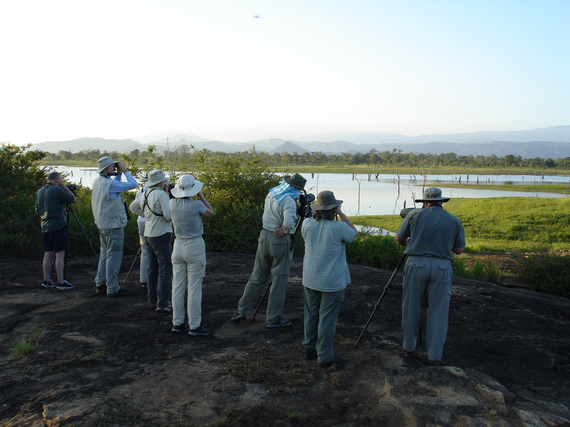 birding group in sri lanka