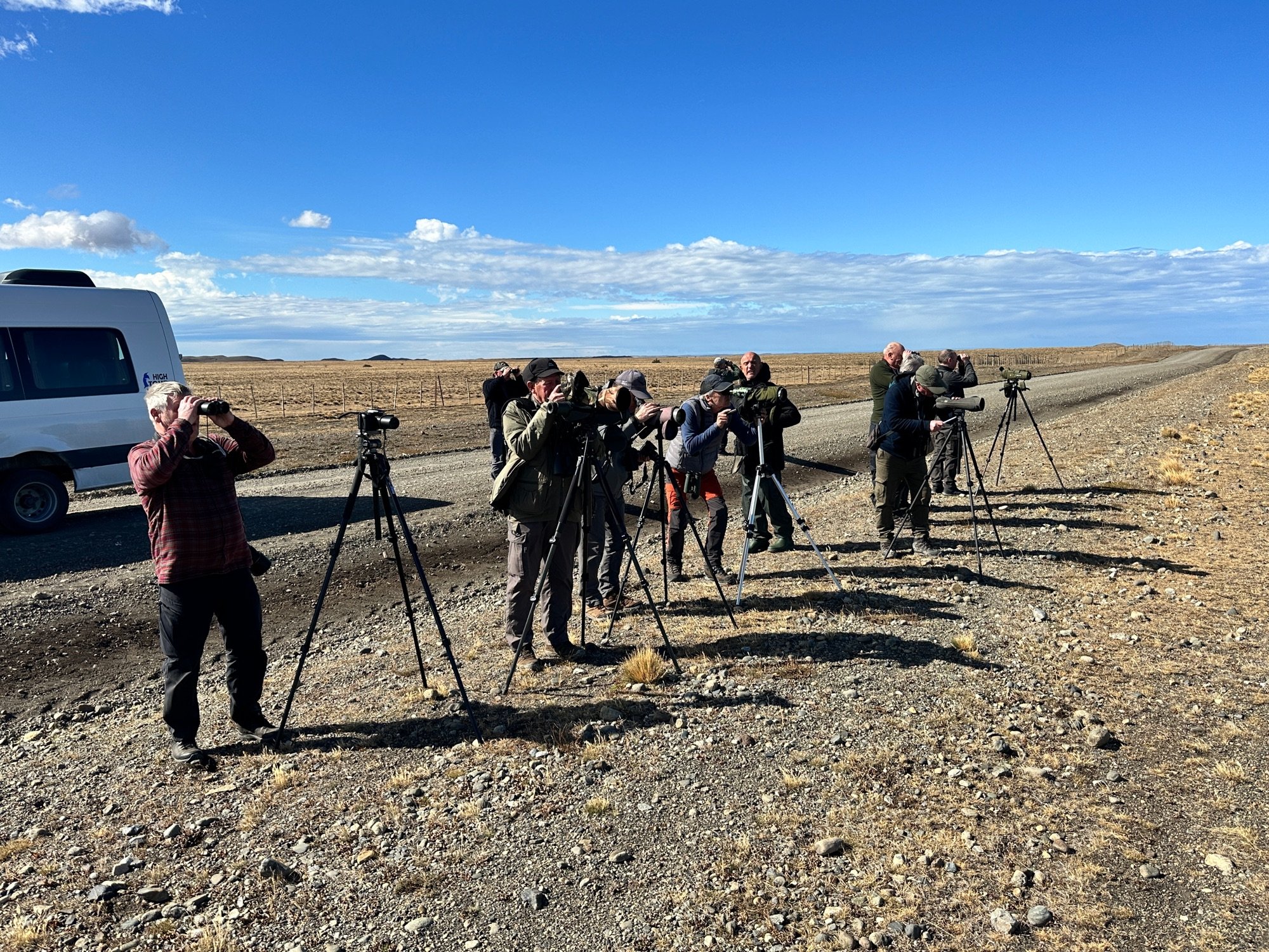 Zoothera Birding group in Punta Arenas