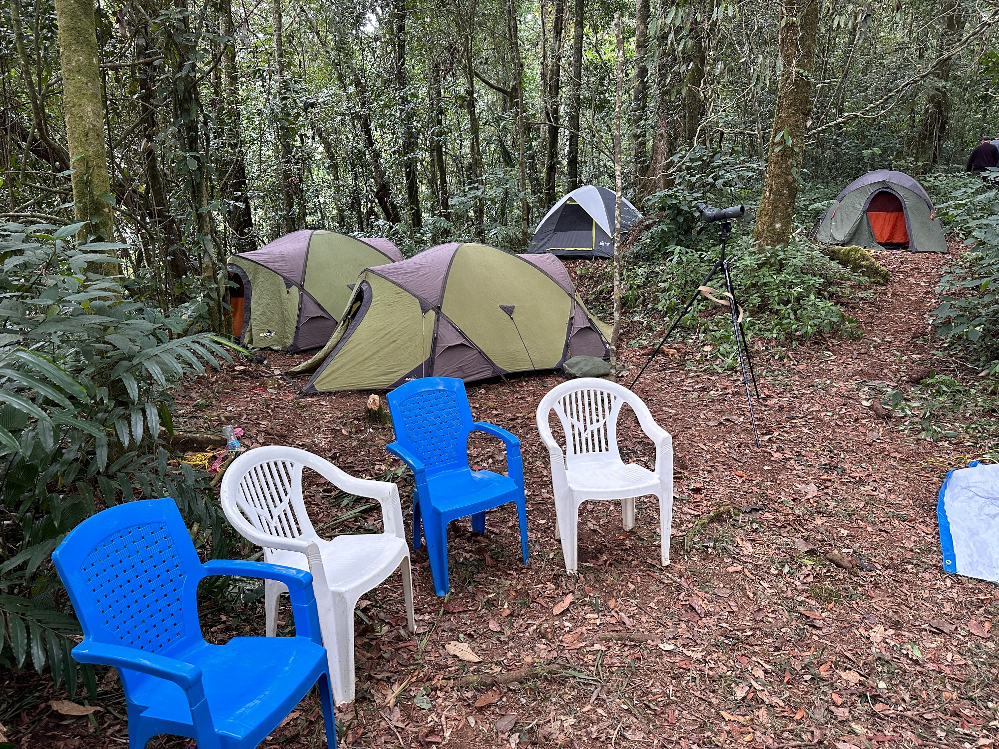     Uluguru Camp