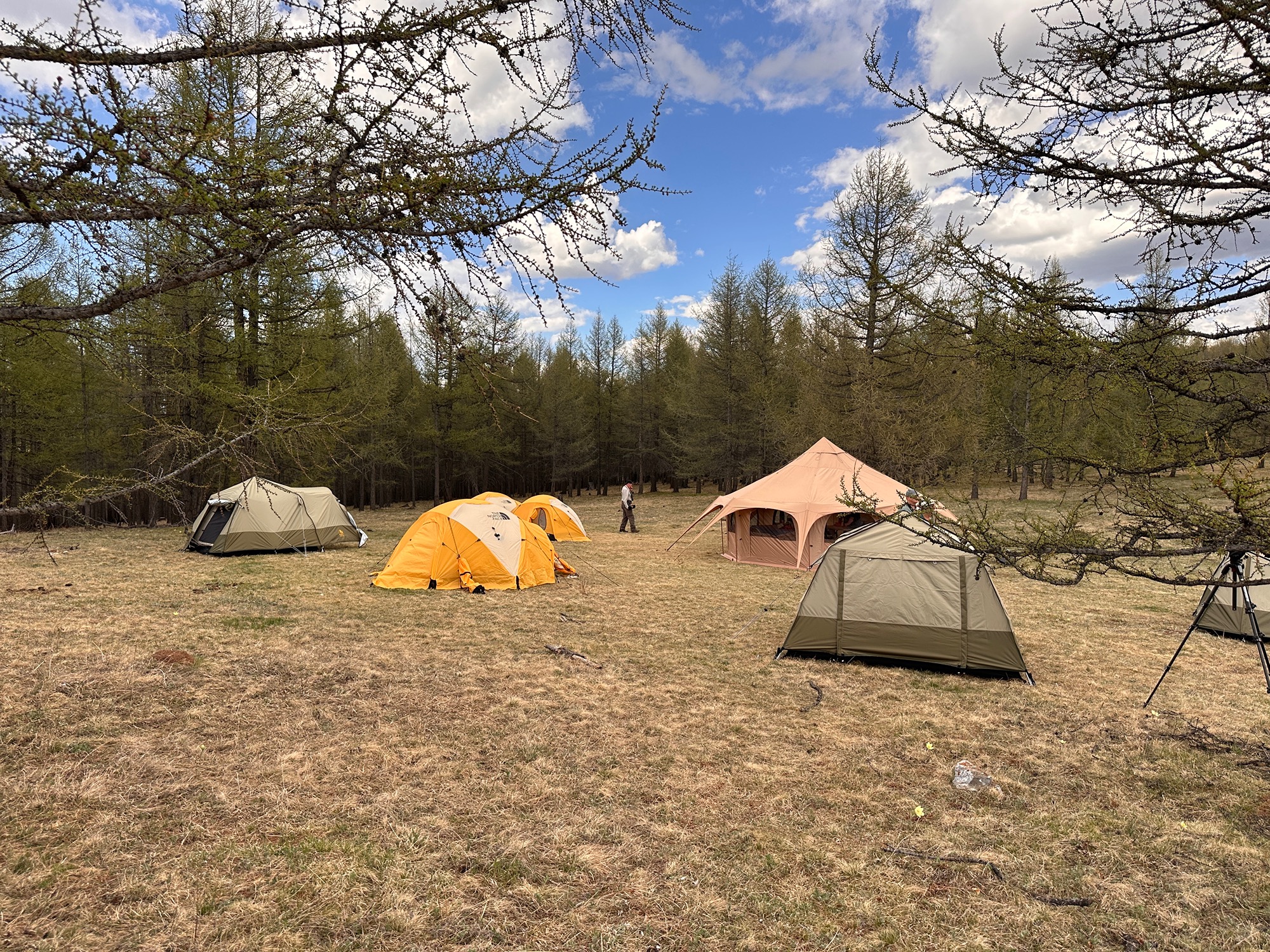 Campsite at Terelj National Park