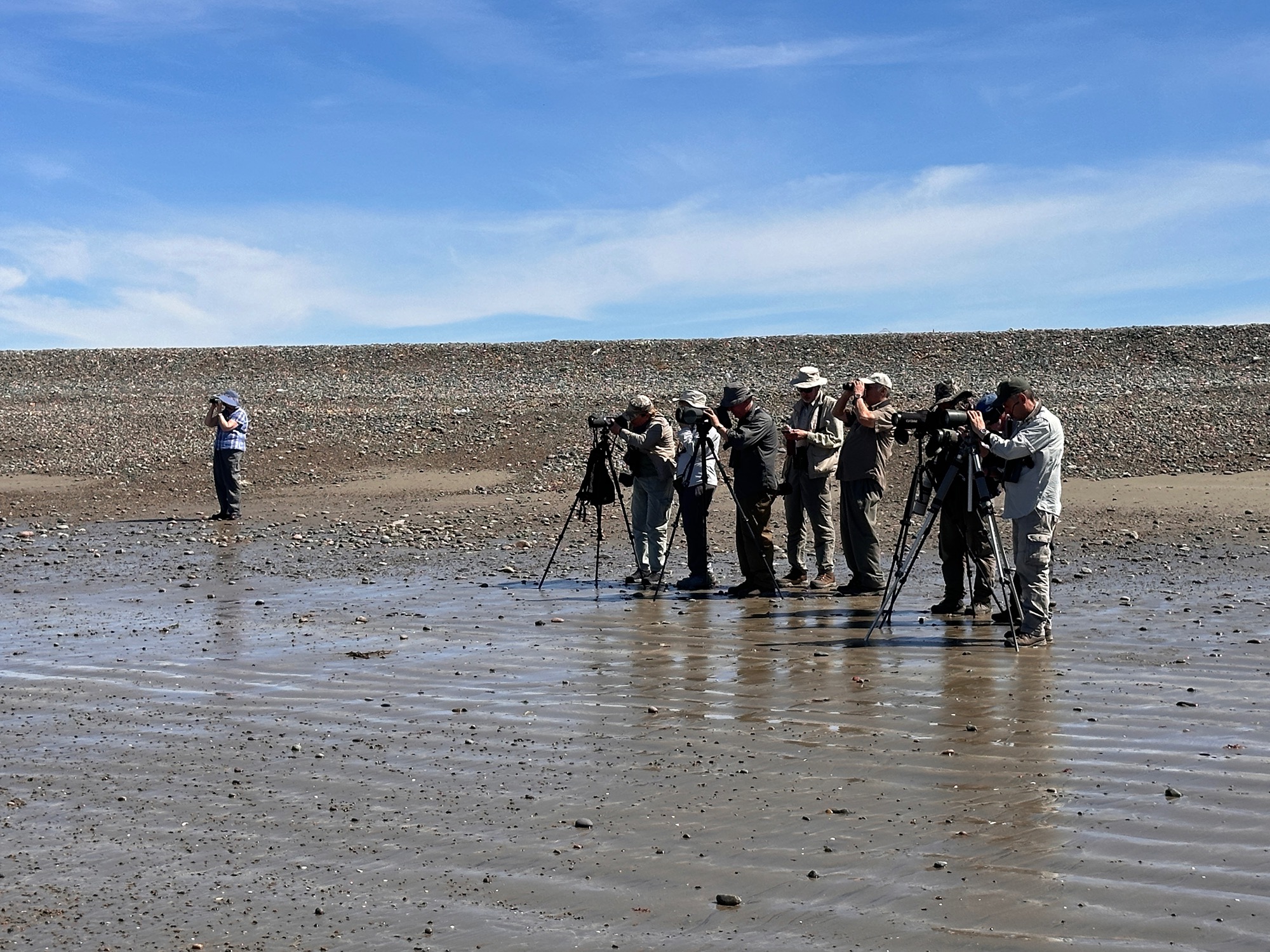 Birding on Sapphire Princess