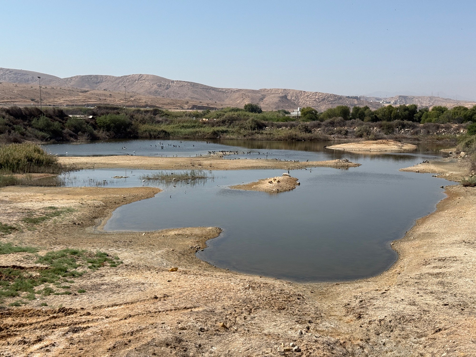 Al Ansab Wetlands