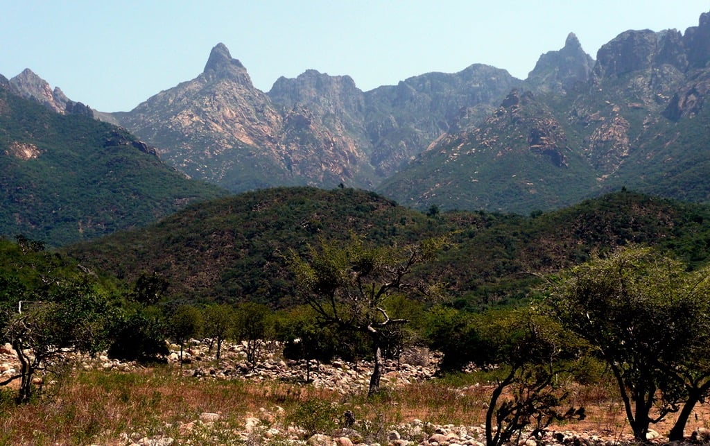 Socotra