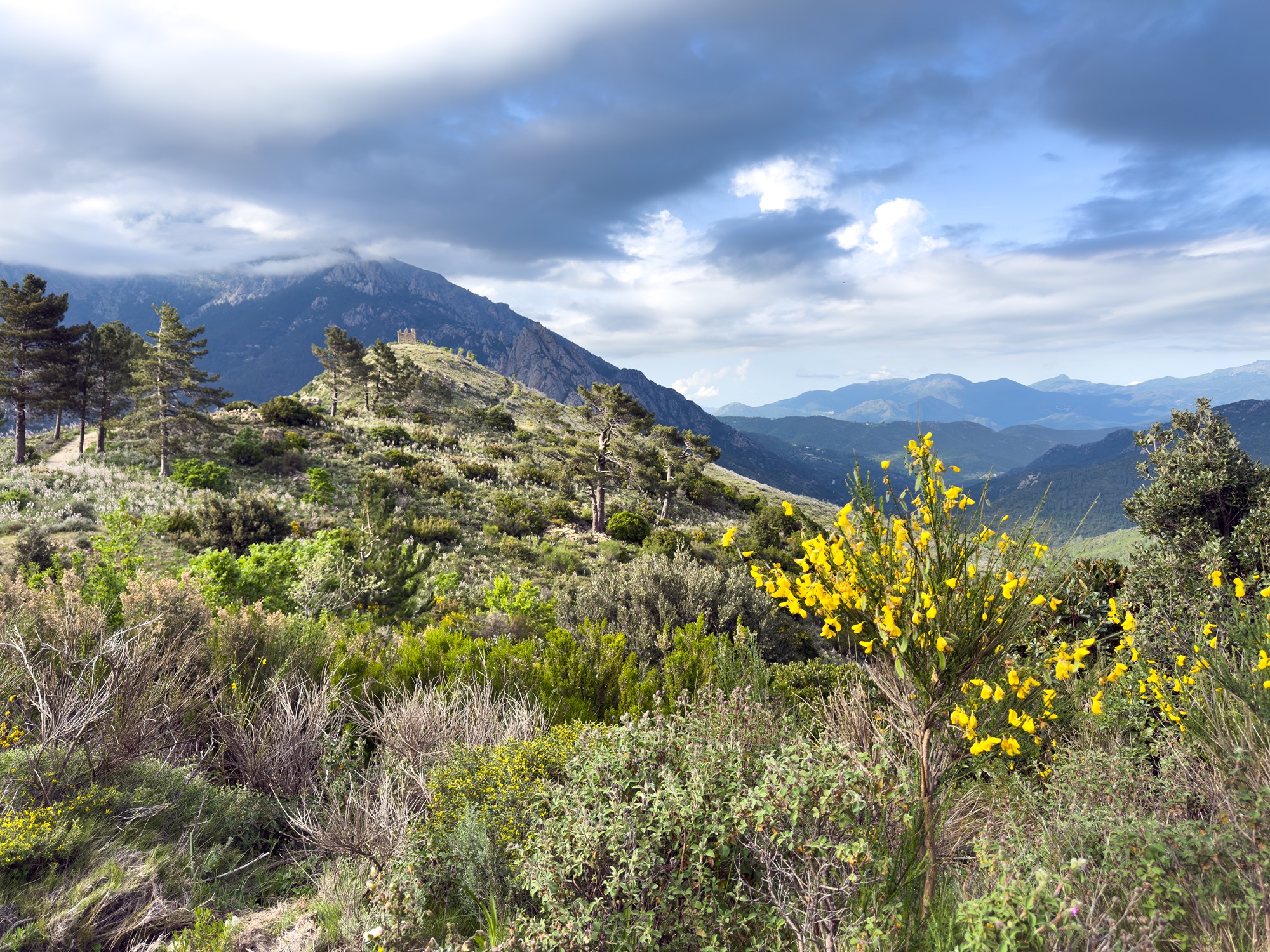             Corsica Scenery