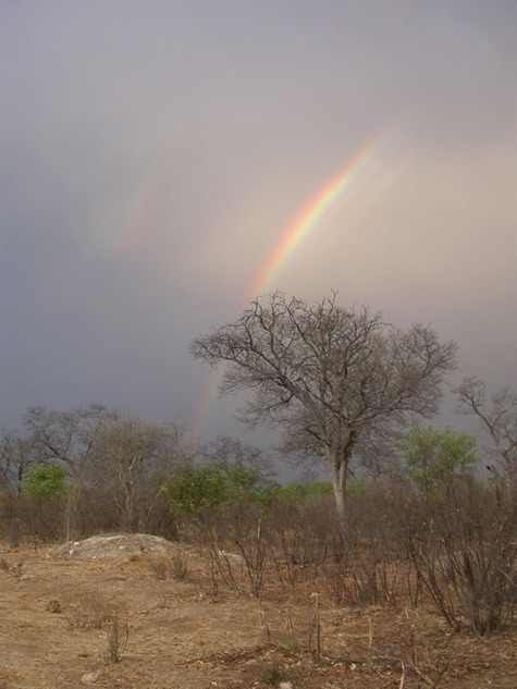 Etosha