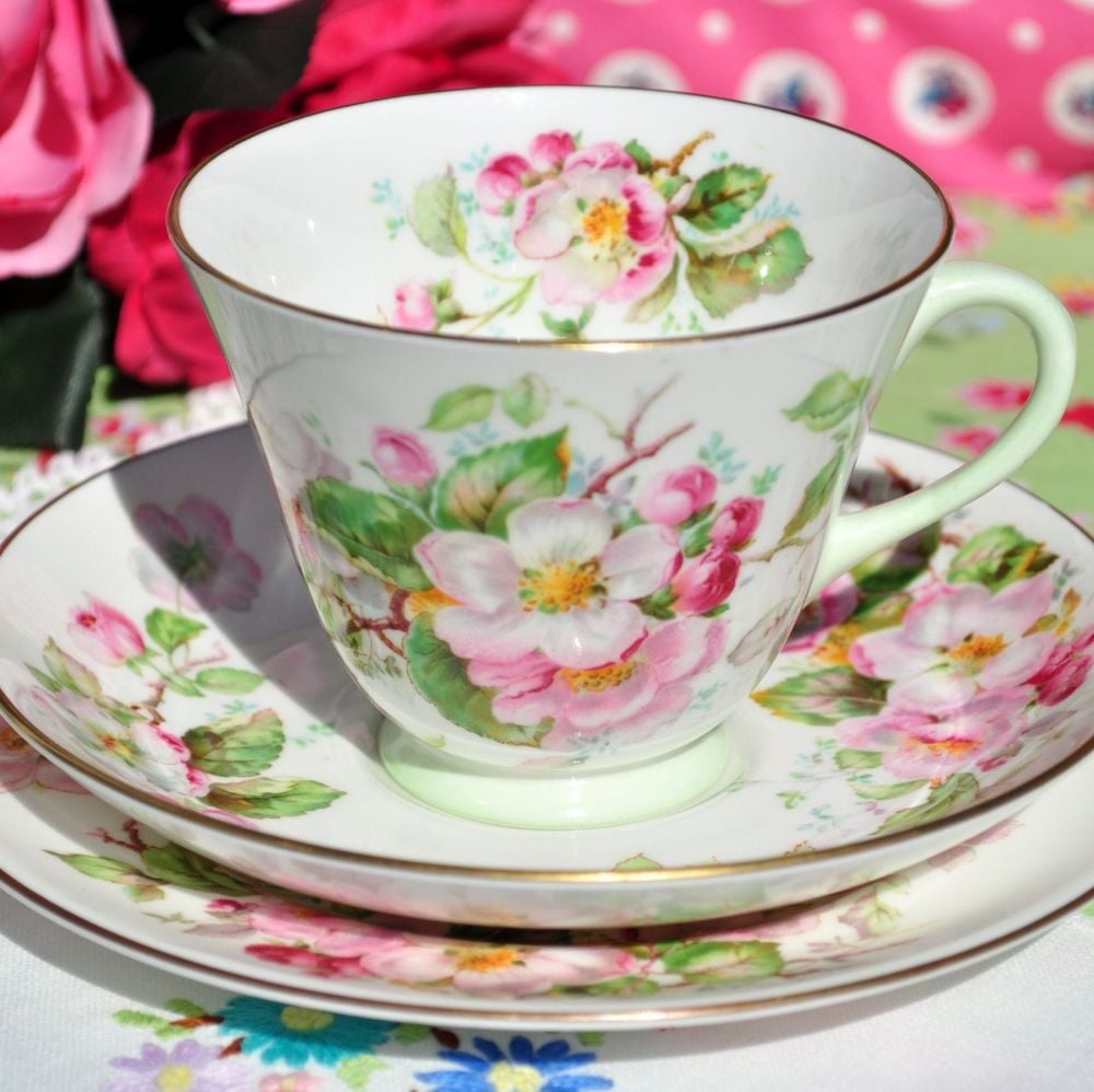 Royal Doulton Apple Blossom H4899 Teacup Trio