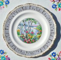 Royal Albert Silver Birch Vintage Bone China 20cm Plate