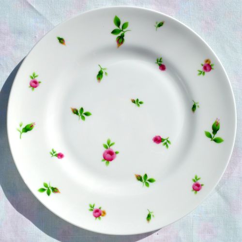 Royal Albert New Country Roses Bone China 8 inch Plate