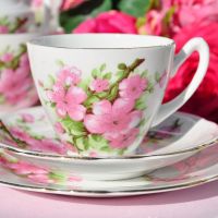 Gladstone Pink Blossom Teacup Trio c.1950s