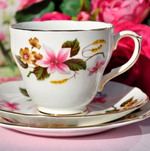 Duchess Windermere Vintage Bone China Teacup Trio c.1960s