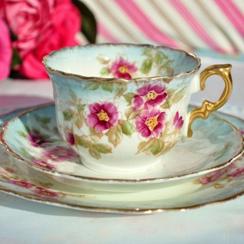 Antique W and Sons Teacup Trio