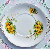 Royal Standard Wild Rose Cake Plate c.1960s