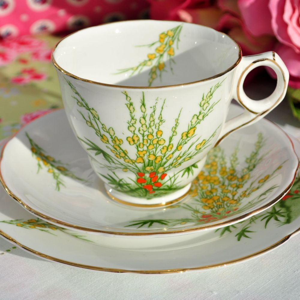 Royal Stafford Broom Hand Finished Teacup Trio c.1934+