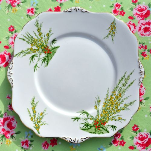 Royal Stafford Broom Hand Finished Cake Plate c.1934+