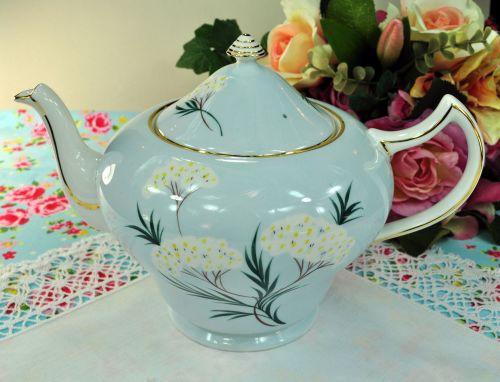 Royal Grafton Pale Blue Floral Large 2 Pint Teapot c.1950s