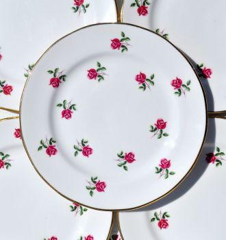 Colclough Fragrance Ditsy Pink Roses 16cm Plates Set