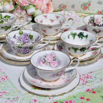 Sheltonian Eclectic Floral China Teacup Trios x 6