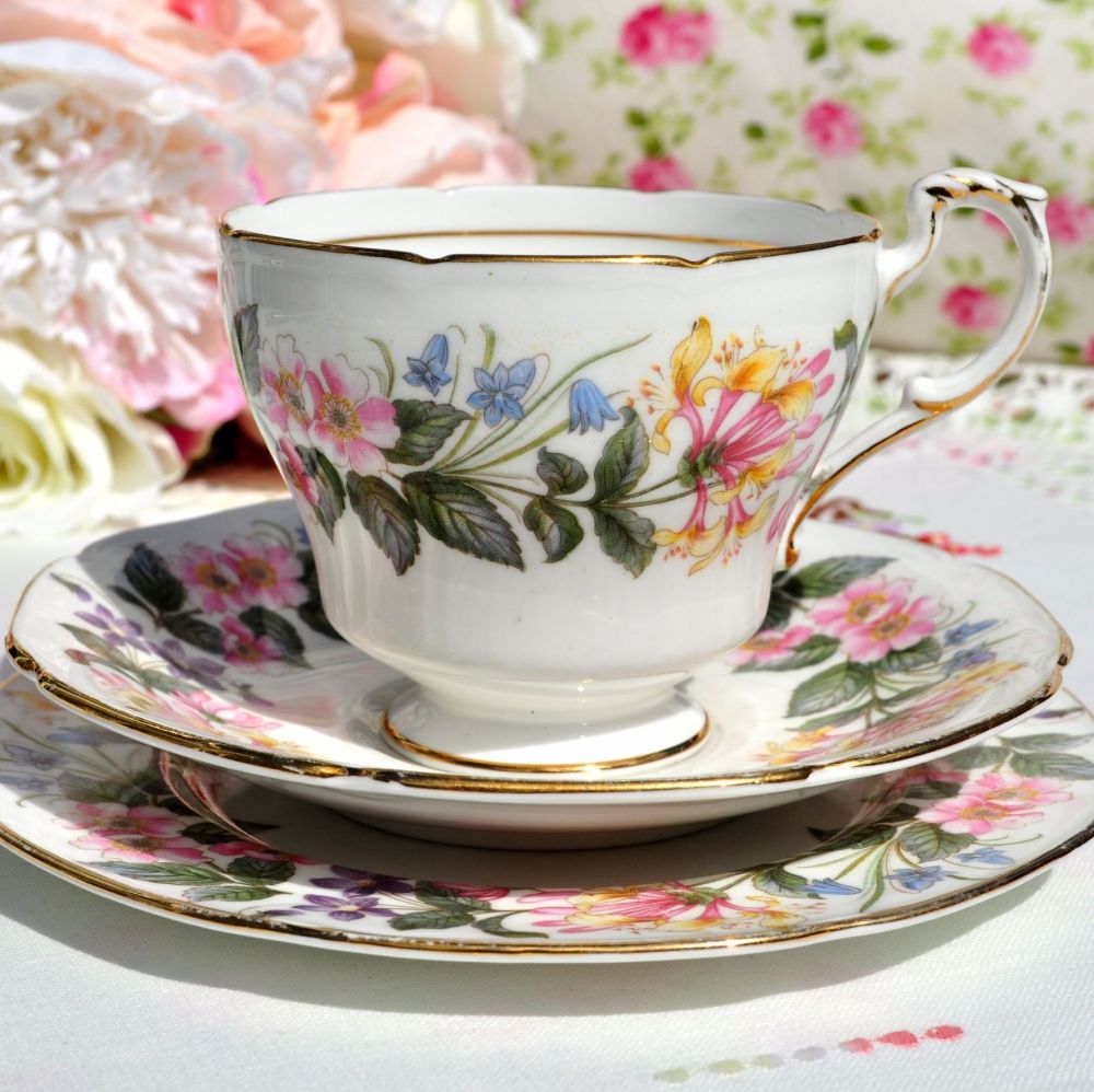 Paragon Country Lane Vintage Teacup Trio c.1957+